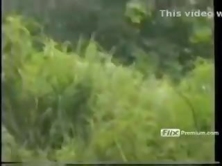 Phenola grandi scopata in tropicale foresta